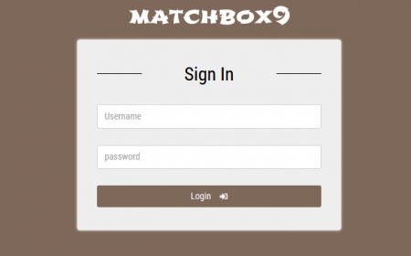 Cricket Betting and IPL: A Growing Phenomenon on Matchbox9