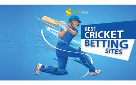 Cricket Betting and IPL - A Thrilling Combo with Silverexch