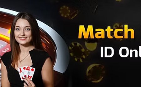 Join the IPL 2025 Action with Matchbox9 – Your Trusted Cricket Betting Partner