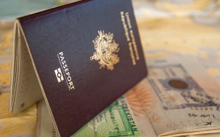 Simplifying Indian Visa Applications for U.S. Residents | LetMeHelpYou.us