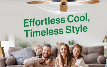 Find the Best White Fan in Pakistan for Your Home and Office