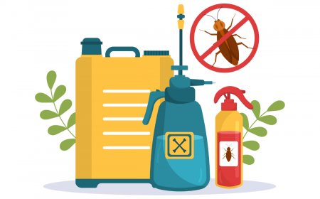 Understanding Termite Control Services: Methods, Importance, and What to Expect