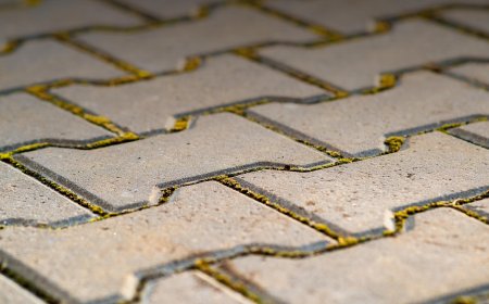 Upgrade Your Outdoors with Top-Notch Pavers in Jacksonville, FL