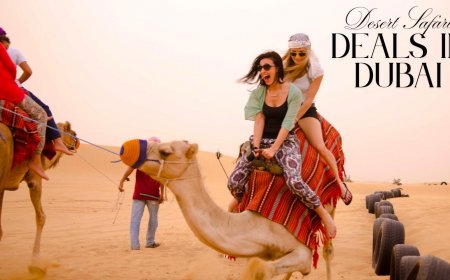 Explore the Best Desert Safari Deals in Dubai A Journey Through Arabian Sands
