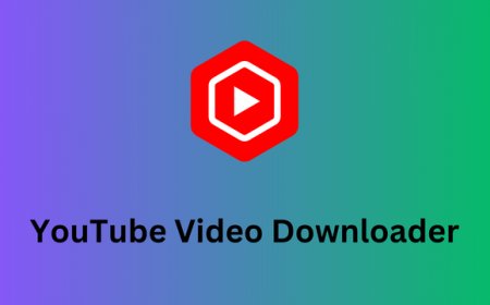 Best web software to download YouTube videos in HD?