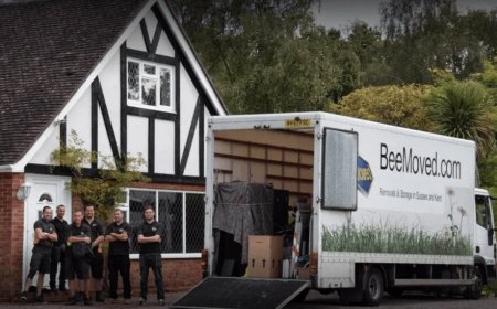 Commercial Storage in Hove: The Smart Solution for Your Business with Bee Moved