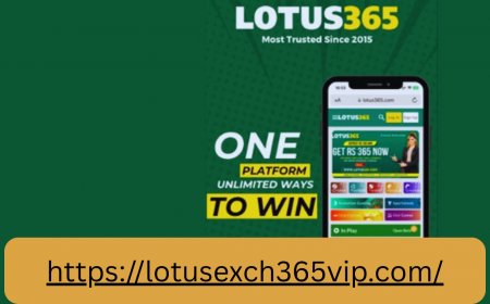 Lotus365 – The Premier Platform for Online Betting in India