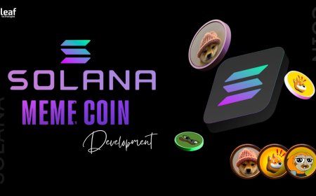 Solana's Speed and the Meme Coin Mania: A Match Made in the Decentralized