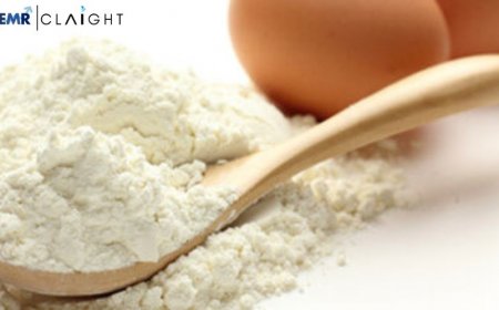 The Egg Powder Market: Trends, Growth and Future Outlook (2025–2034)