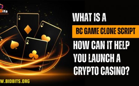 What Is a BC Game Clone Script and How Can It Help You Launch a Crypto Casino?