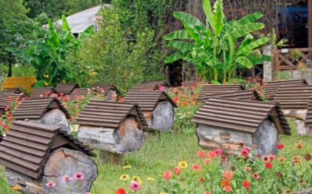 Do Bee Houses Really Work to Keep Bees Away?