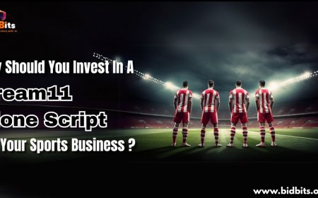 Why Should You Invest in a Dream11 Clone Script for Your Sports Business?