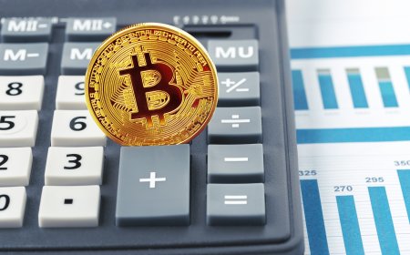 The Power of a Crypto Mining Profit Calculator