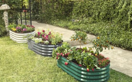 How Metal Raised Beds Improve Drainage, Soil Quality & Garden Health