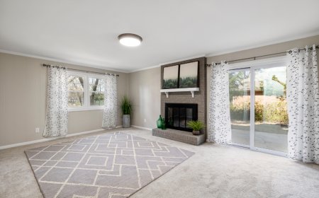 Top-Rated Carpet Cleaning Near Me in Columbus, Georgia – Econo Carpet Cleaning