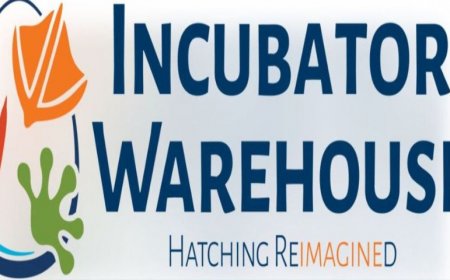 Key Features to Look for in a Quail Egg Incubator