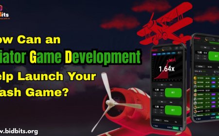 How Can an Aviator Game Development Help Launch Your Crash Game?