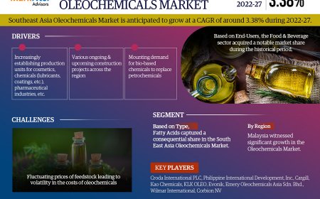 South East Asia Oleochemicals Market, Share, Trends, Demand, Growth and Competitive Analysis