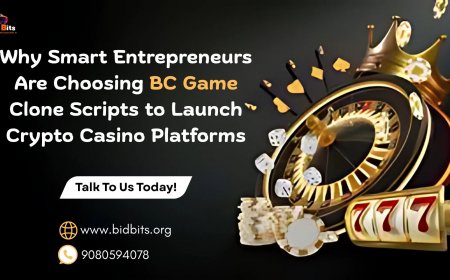 Why Smart Entrepreneurs Are Choosing BC Game Clone Scripts to Launch Crypto Casino Platforms