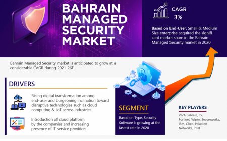 Bahrain Managed Security Market, Share, Trends, Demand, Growth and Competitive Analysis