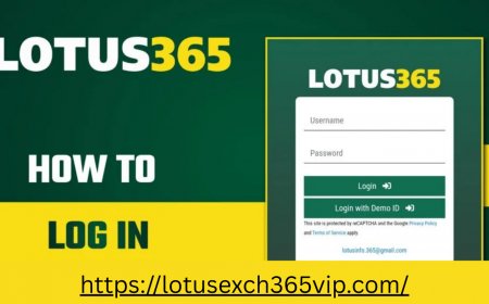 Ready to Win? Try Your Luck on Lotus365