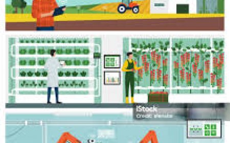 IoT in Agriculture Market Competitive Landscape and Future Outlook 2025