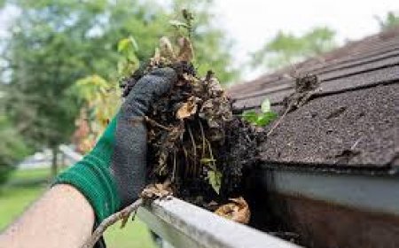 Why Choose the Best Gutter Cleaning Service in Sydney