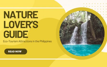 Nature Lover’s Guide: Eco-Tourism Attractions in the Philippines, nightlife in the Philippines