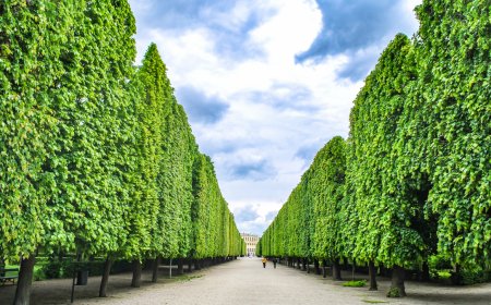 Professional Tree Trimming and Removal Services in Fishkill Plains, NY