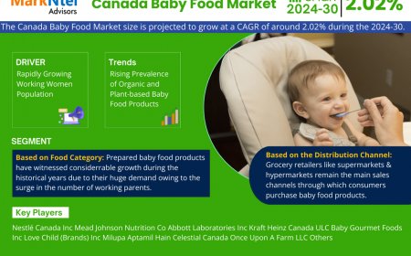 Canada Baby Food Market Intelligence: Trends, Players, and Forecasts 2030