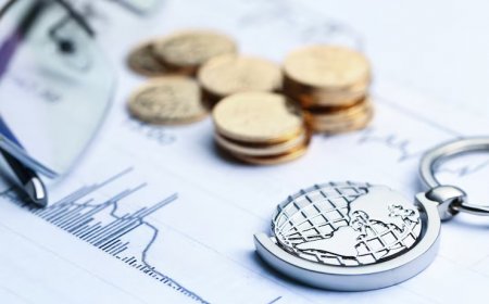 Case Studies: Successful Forensic Accounting Investigations