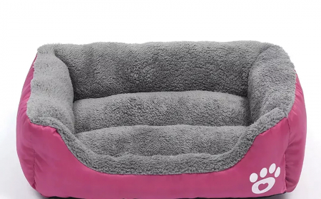 Is Buying a Dog Bed Worth It?