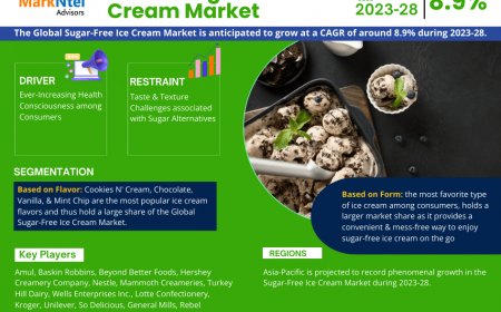 Sugar-Free Ice Cream Market Competitive Landscape and Future Outlook 2028