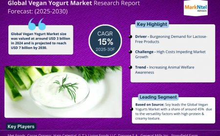 Vegan Yogurt Market Outlook – Size, Share, Opportunities, Trends & Forecast Analysis