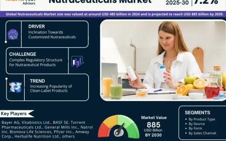 Nutraceuticals Market Outlook – Size, Share, Opportunities, Trends & Forecast Analysis