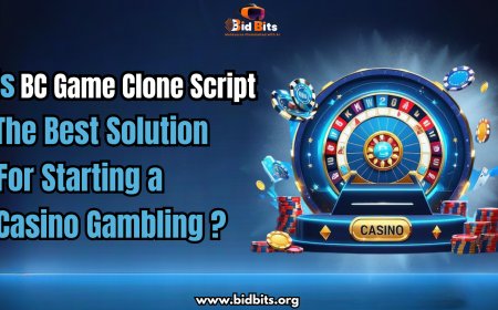 Is BC Game Clone Script the Best Solution for Starting a Casino Gambling ?