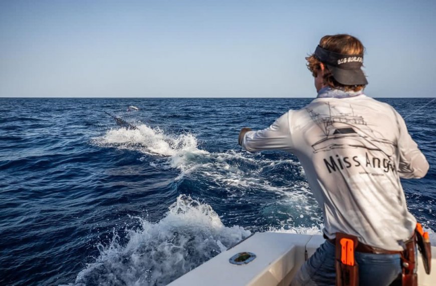 Marlin Fishing in Cape Verde: A Top Destination for Big Game Fishing