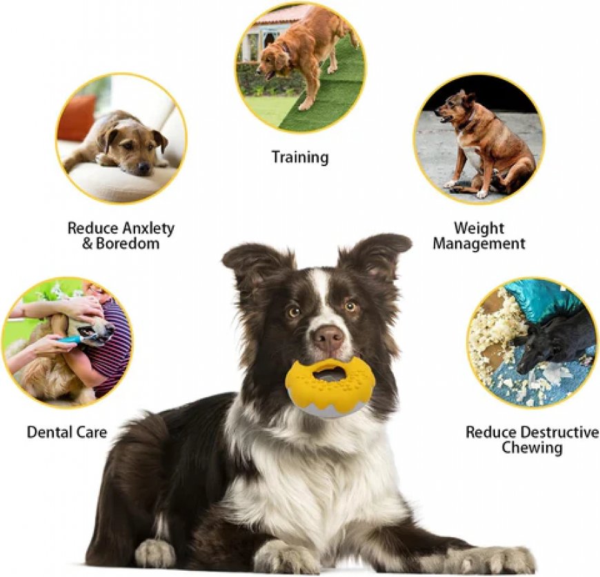 6 Best Calming Dog Toys for Anxiety, According to Experts