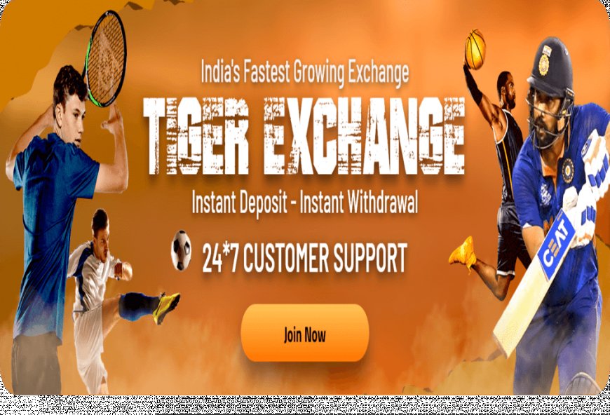 Maximize Your Winning Potential with Tiger Exchange