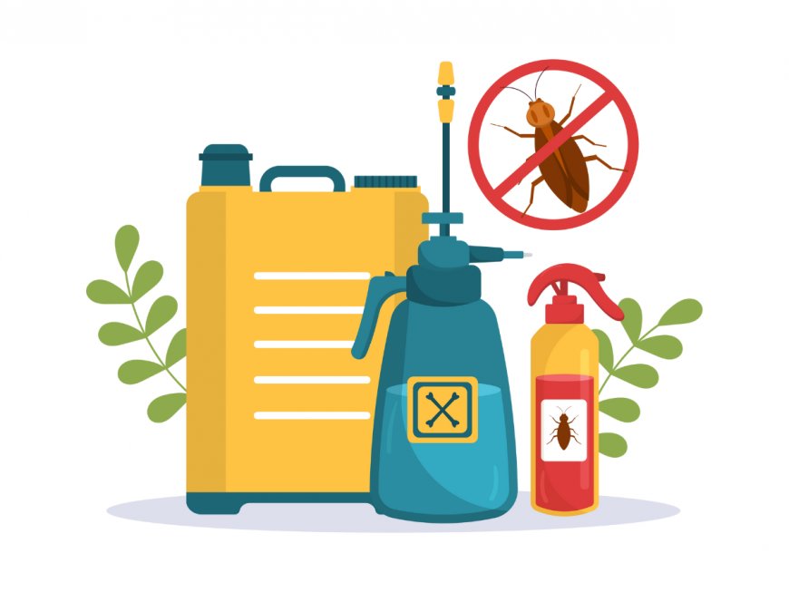 Top Benefits of Hiring a Professional Termite Control Company