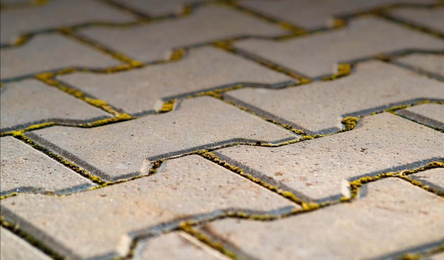 Upgrade Your Outdoors with Top-Notch Pavers in Jacksonville, FL