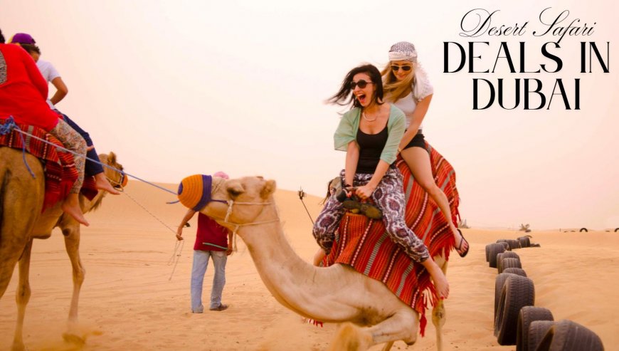 Explore the Best Desert Safari Deals in Dubai A Journey Through Arabian Sands