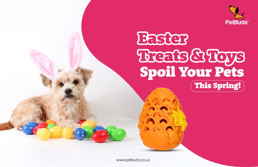 Easter Treats for Dogs: Spoil Your Pup This Spring