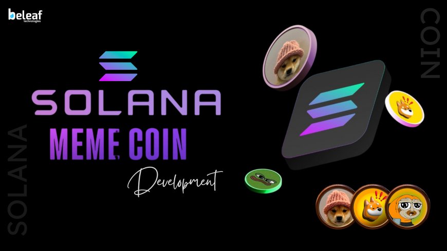 Solana's Speed and the Meme Coin Mania: A Match Made in the Decentralized