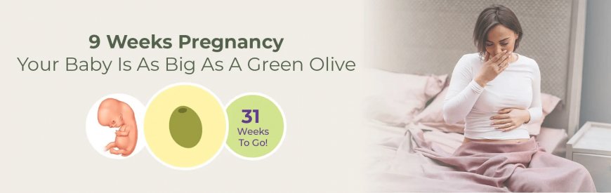 9 Weeks Pregnant Symptoms, Baby Development, Foods to Eat and Tips