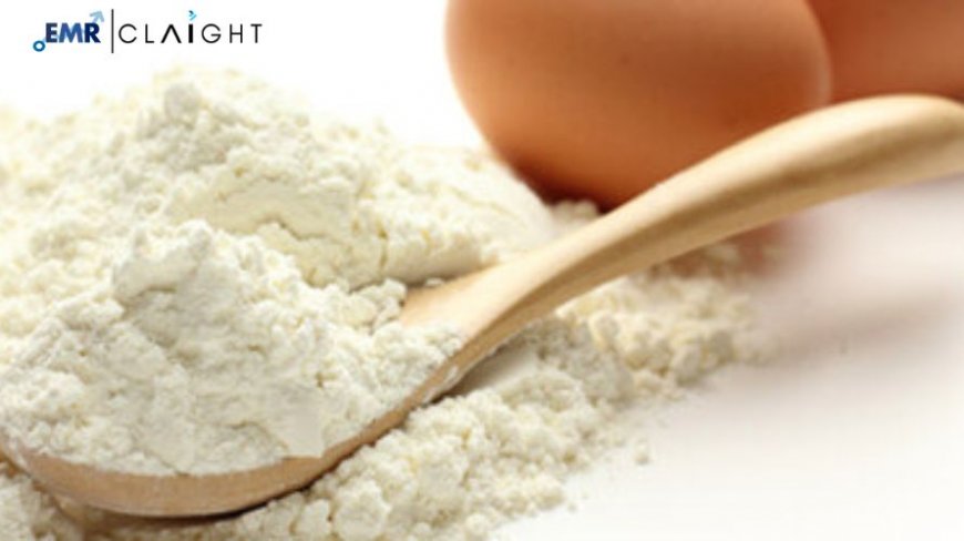 The Egg Powder Market: Trends, Growth and Future Outlook (2025–2034)