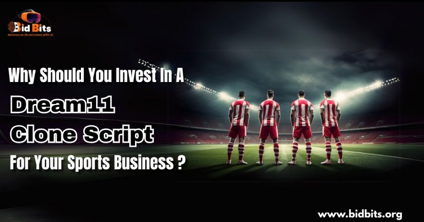 Why Should You Invest in a Dream11 Clone Script for Your Sports Business?