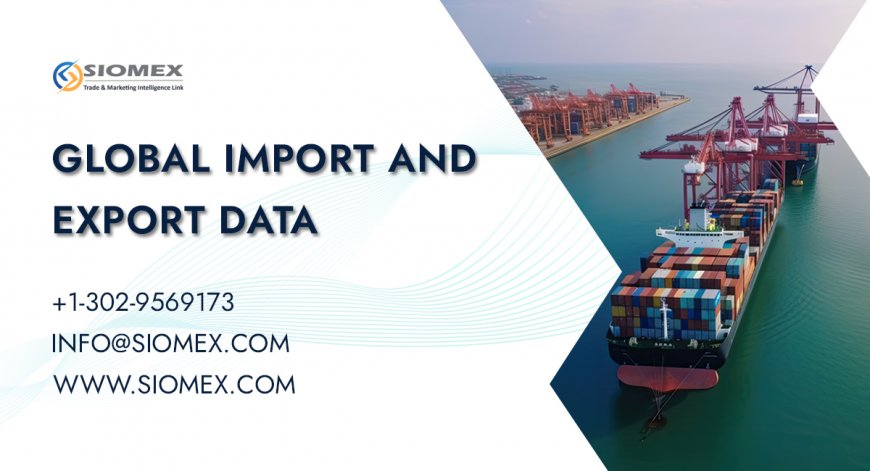 Best Strategies to Find Importers for Your Exports