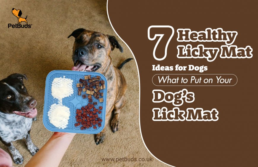 7 Healthy Licky Mat Ideas for Dogs – What to Put on Your Dog’s Lick Mat