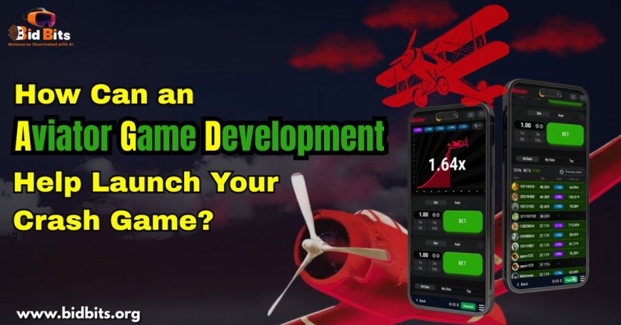 How Can an Aviator Game Development Help Launch Your Crash Game?